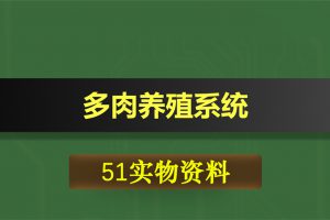 0376基于51单片机的多肉养殖系统